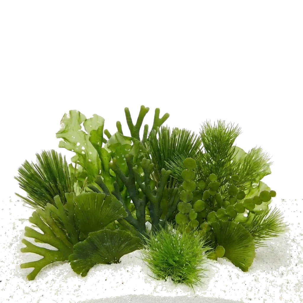 files/green-updated.png