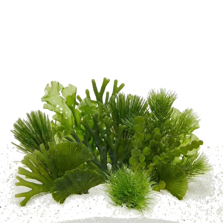 files/green-updated.png